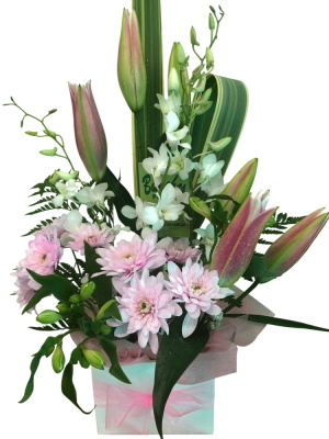 Designer Selected Pastel Mixed Arrangement