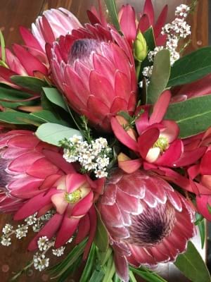 Designer Selected Mixed Native Style Posie