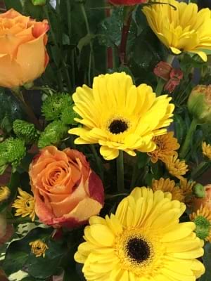 Designer Selected Bright Mixed Arrangement 