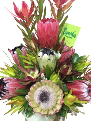 Designer Selected Mixed Native Style Arrangement 