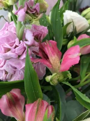 Designer Selected Pastel Mixed Posie