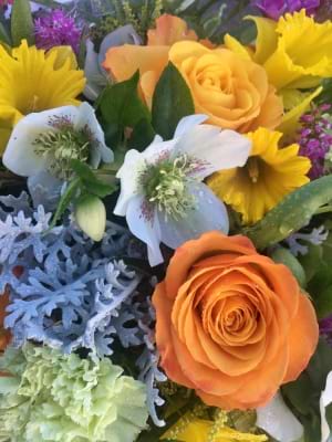 Designer Selected Bright Mixed Posie